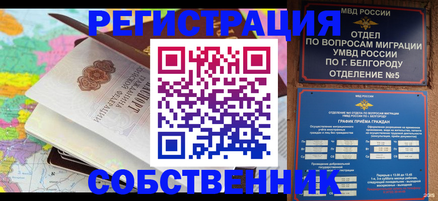 временная регистрация гарантия в Плавске